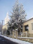 Tl 2012 dec 043.JPG