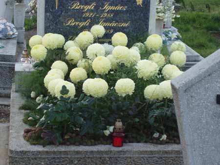 2010 nov. 1. 016.jpg