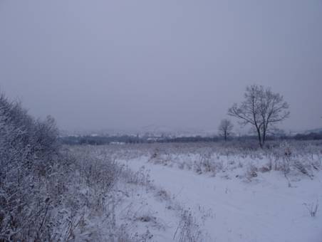 PC190017.JPG
