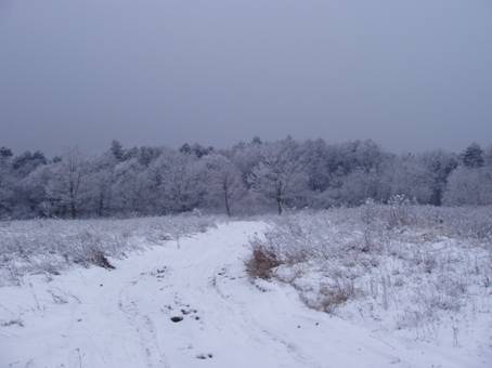PC190018.JPG