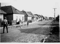 Falukp 1975
