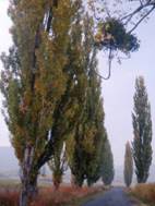 Bnycski t (8)