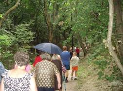 Pincenap 2008 (53)