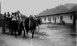 FIL46768