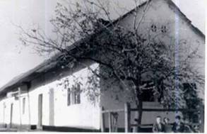 Katus n hza 1960-as vek 6 cm