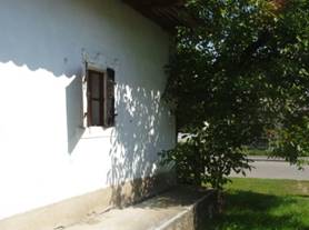 Katus n hza 2010 143