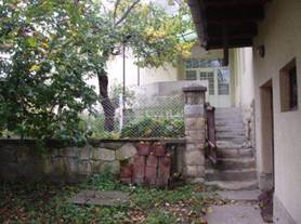Parkia 032