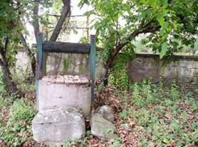 Parkia 030