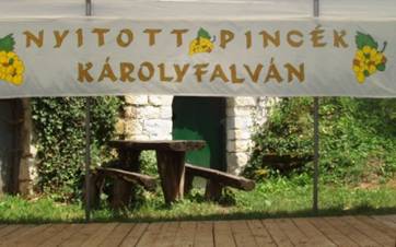 Pincenap 2012