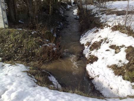 20100221612.jpg