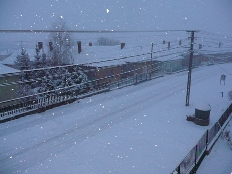 P1050791.JPG