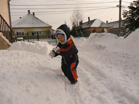 P1050800.JPG