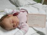 Vaszily Emma sz. 2023.01.11. szlei Tth Alekszandra, Vaszily Gbor.jpg