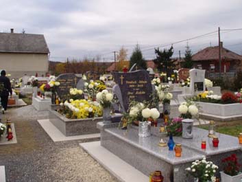 2007 sz 034.jpg