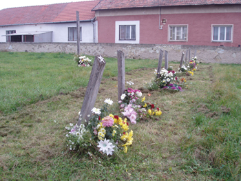 Halottak napja 2008 023.jpg