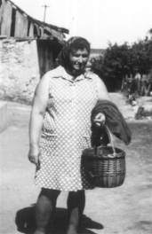 Vasrnap dlutn, anyuka indul a szlbe gymlcst szedni 1976