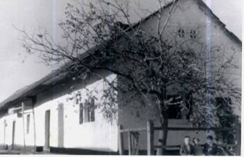 Katus n hza 1960-as vek 6 cm