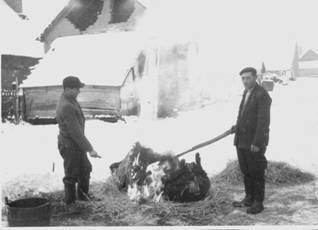 Disznls, 70-es vek elejn Szalmval perzsel Karajz Antal s Mtys.jpg