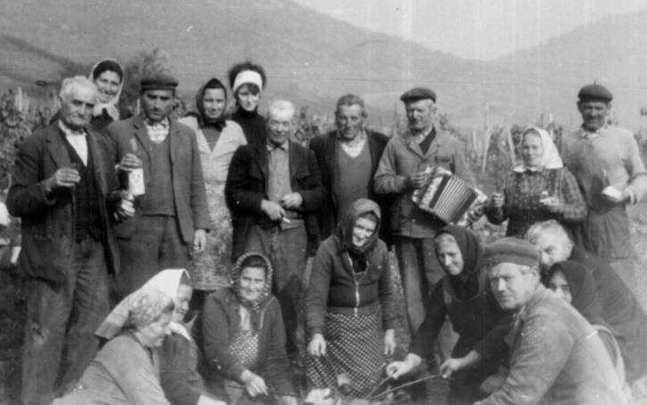 Tesz szret