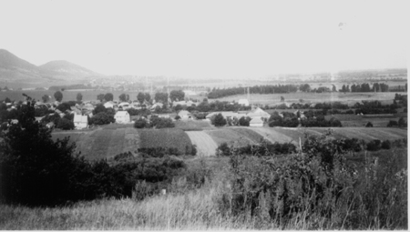 FIL10725.JPG
