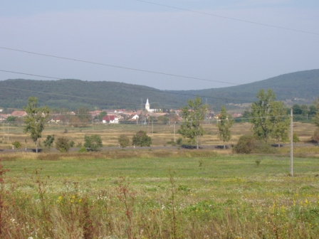FIL36063.JPG