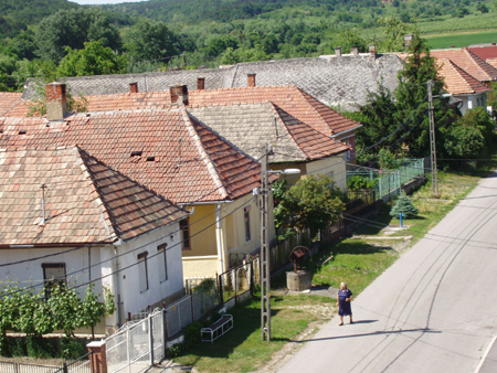 FIL29422.JPG