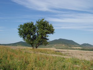 Hiblin 2011. szept 016.jpg