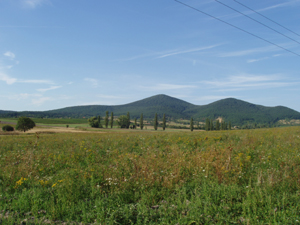 Hiblin 2011. szept 009.jpg