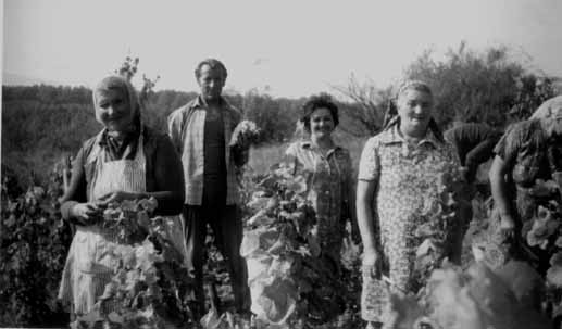 Szret-1977.jpg