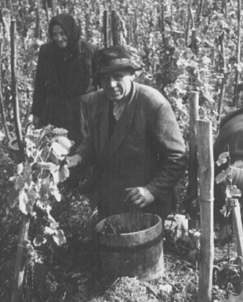 Szret, Jask hzaspr.jpg