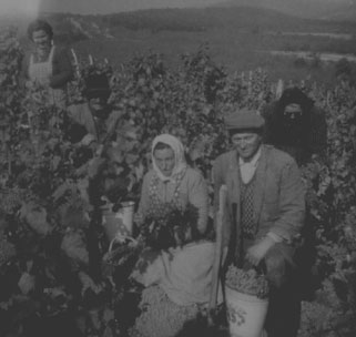 Deutsch csald, Lnuka