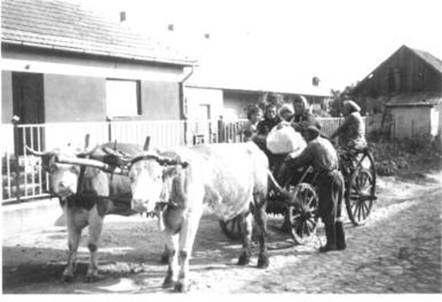 1975