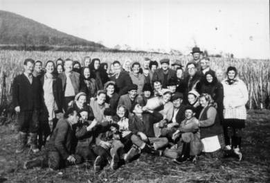 Tsz tagok 1970 krl