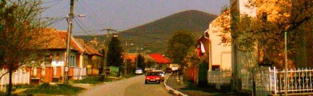 Felvg 200