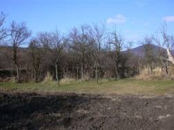 Gerta 2005