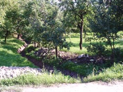 Gertagdr 2008.jpg