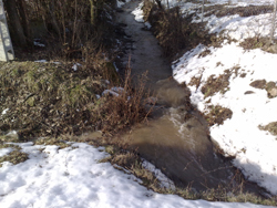 20100221614.jpg