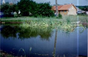 Gyermektbor, pecz