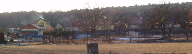 jtelep 2010.JPG