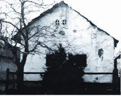 Katus nni - a knyvbl.JPG