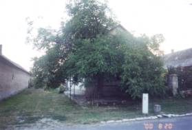 Katus nni hza 2004