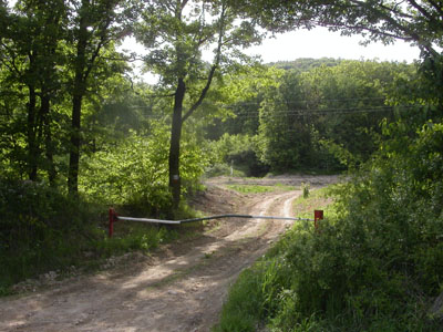 A Bancsi fel.jpg