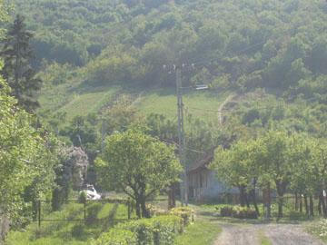 Kistanya fel 2009 pr. 021.jpg