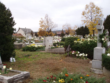 2007 sz 036.jpg