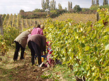 szret 2005 012.jpg