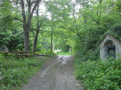 felsopincek
