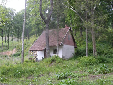 gaborkunyho
