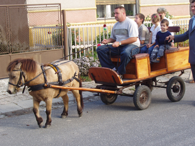 Szreti felvonuls 2005 Hauser Frdi.jpg