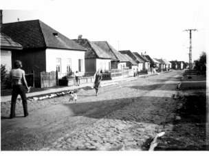 Falukp 1975