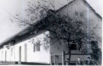 Katus n hza 1960-as vek 6 cm
